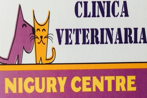 Photo of Clinica Veterinaria Photo of Clinica Veterinaria