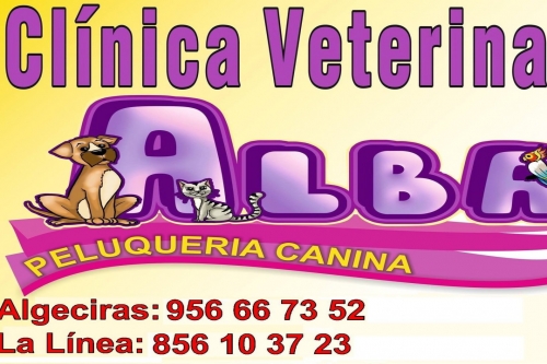 Photo of Hospital Veterinario ALBA Photo of Hospital Veterinario ALBA