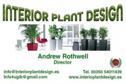 Photo of Interior Plant Design Photo of Interior Plant Design