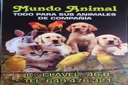 Photo of Mundo Animal Photo of Mundo Animal