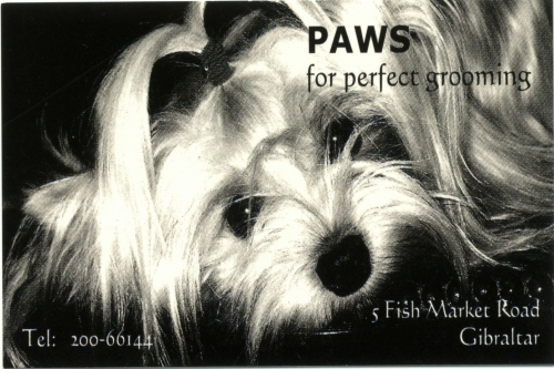 Photo of Paws Photo of Paws