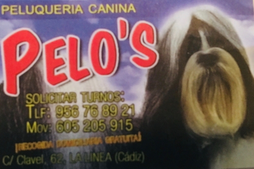 Photo of PELOS Photo of PELOS
