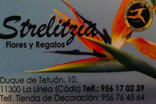 Photo of STRELITZIA Photo of STRELITZIA