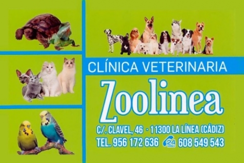 Photo of Zoolinea Photo of Zoolinea